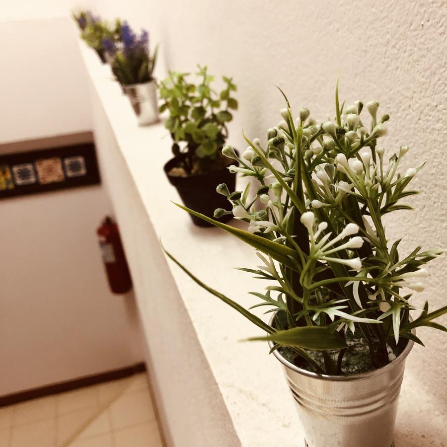 Rada Arak 79/4 Hostel Čiang Mai Exteriér fotografie